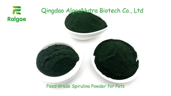 馬タンパク質サプリメント用の天然微細藻類グリーンスピルリナ粉末飼料グレード
